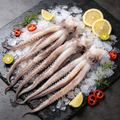 Frozen Squid Tentacles Seafood